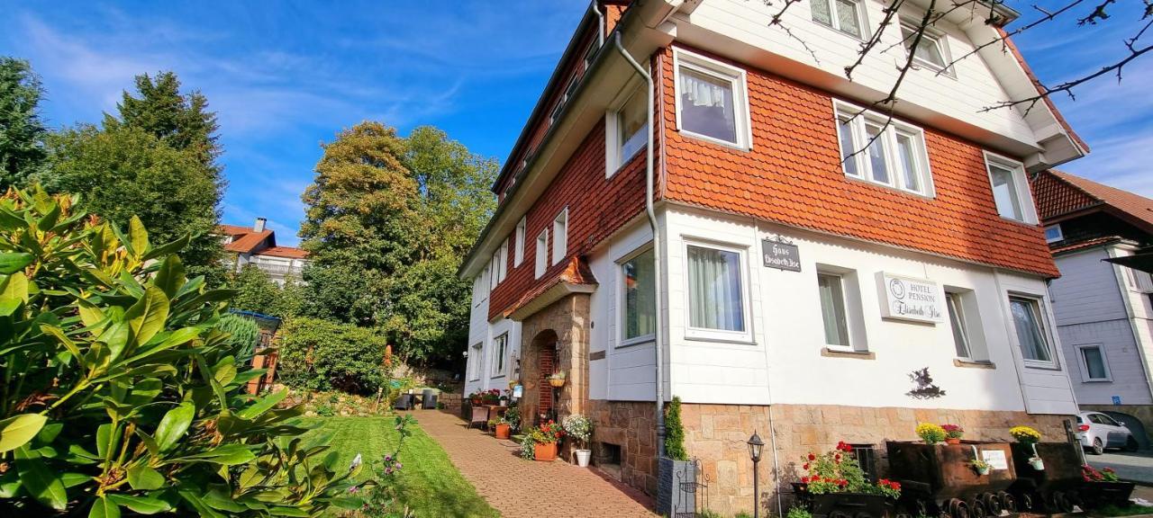Hotel Elisabeth Ilse Braunlage Exterior foto